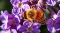 bees small but vital