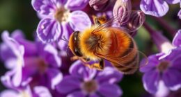 bees small but vital