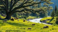 restoring ecosystems through rewilding