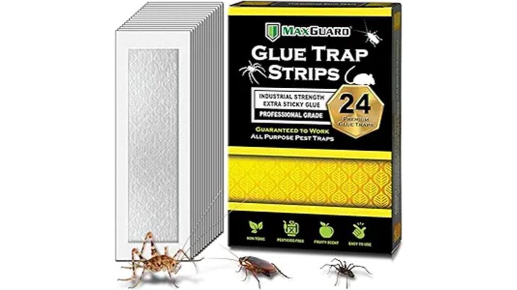 24 maxguard glue strips