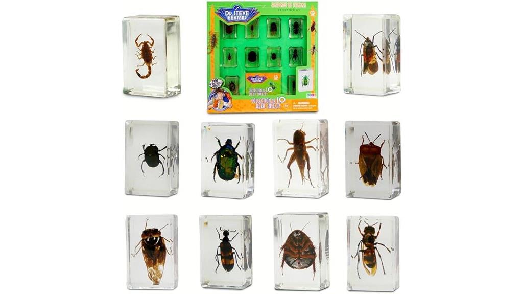 insect specimens science set