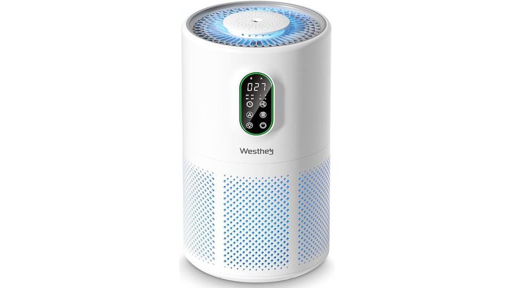 large room air purifiers
