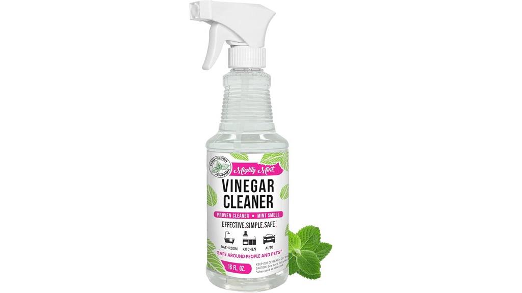 spearmint scent vinegar