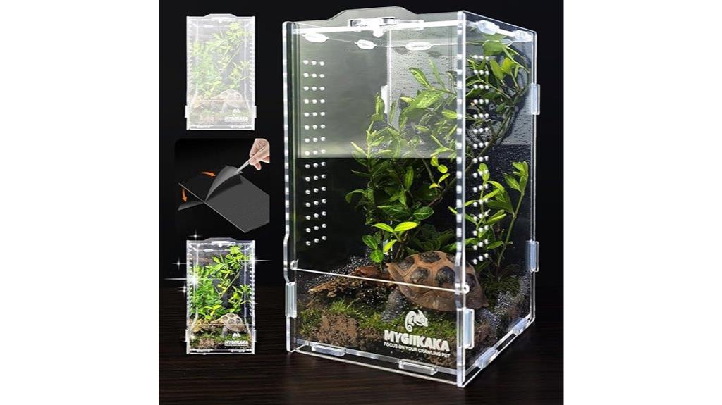 acrylic spider and insect habitat
