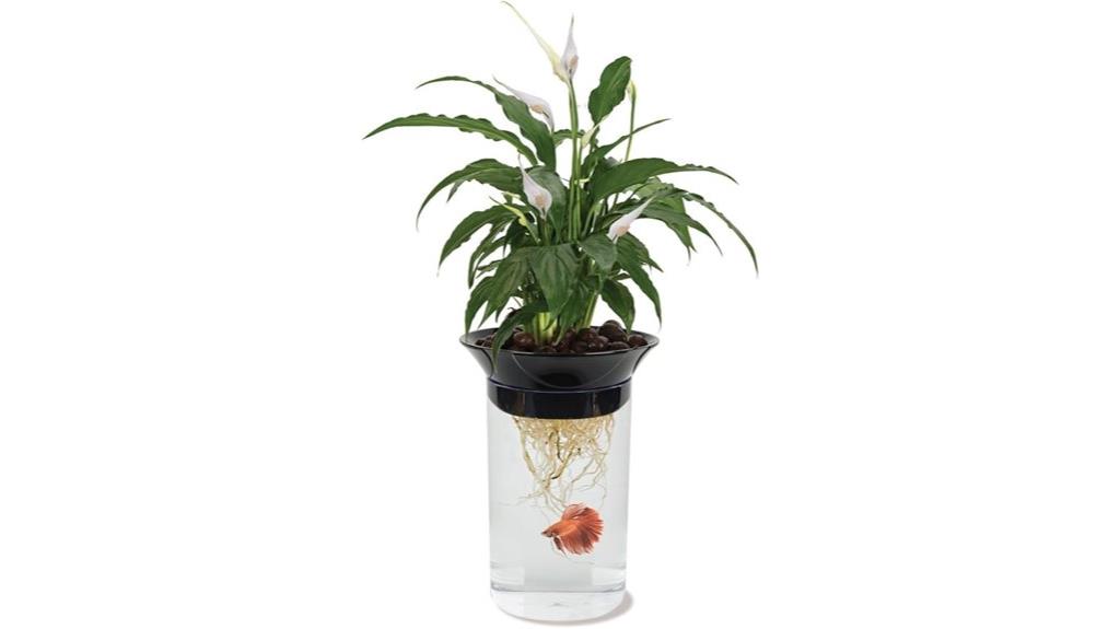 aquaponic betta fish tank