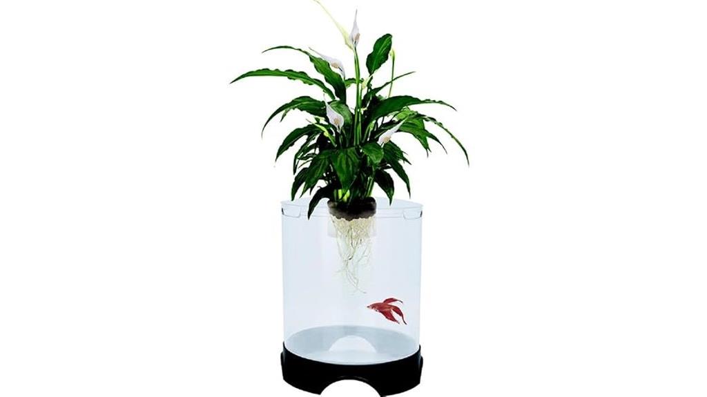 aquaponic betta fish tank