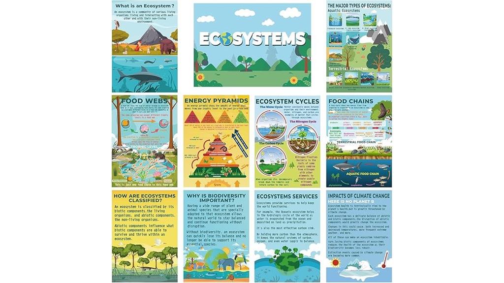 biology classroom food chain
