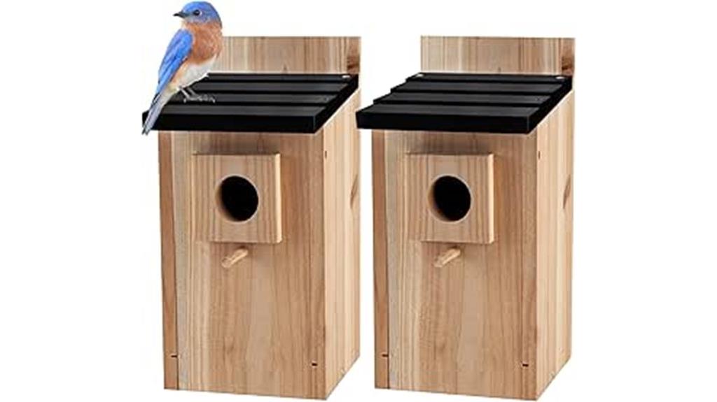 blue bird box house pack