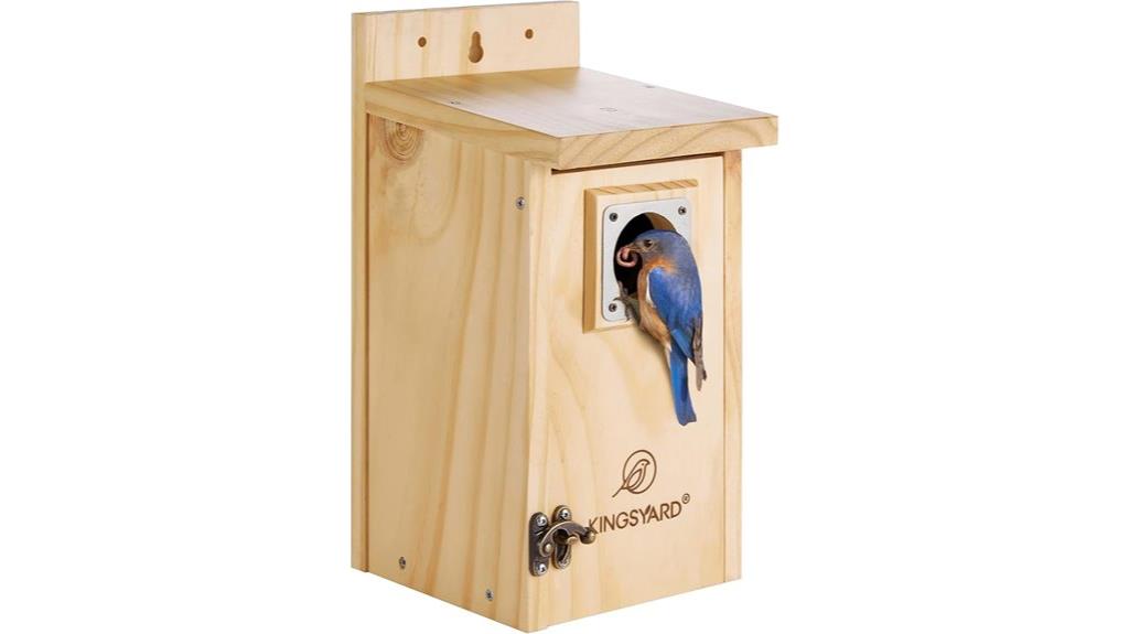 blue bird house outdoors