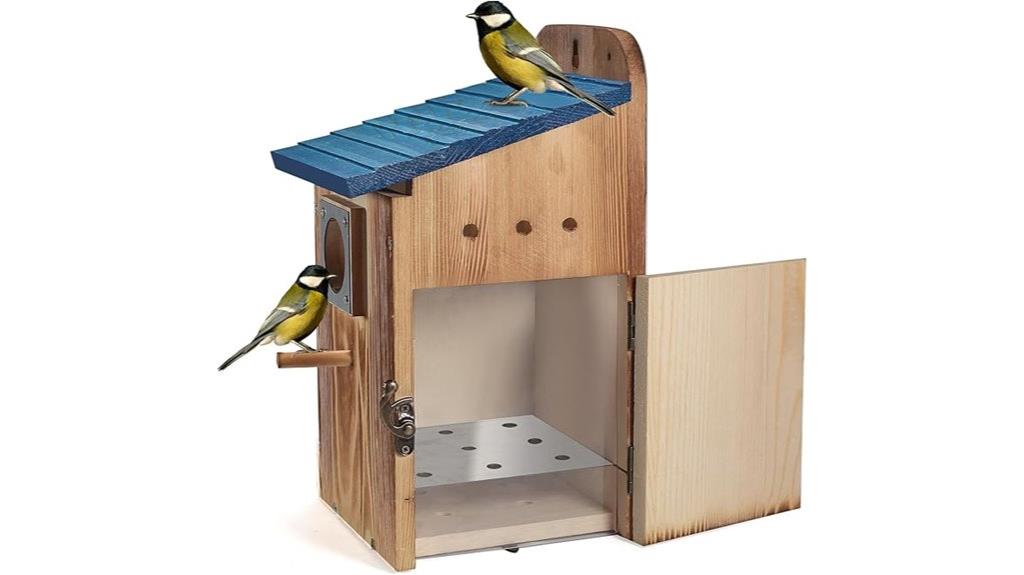 blue outdoor bird houses