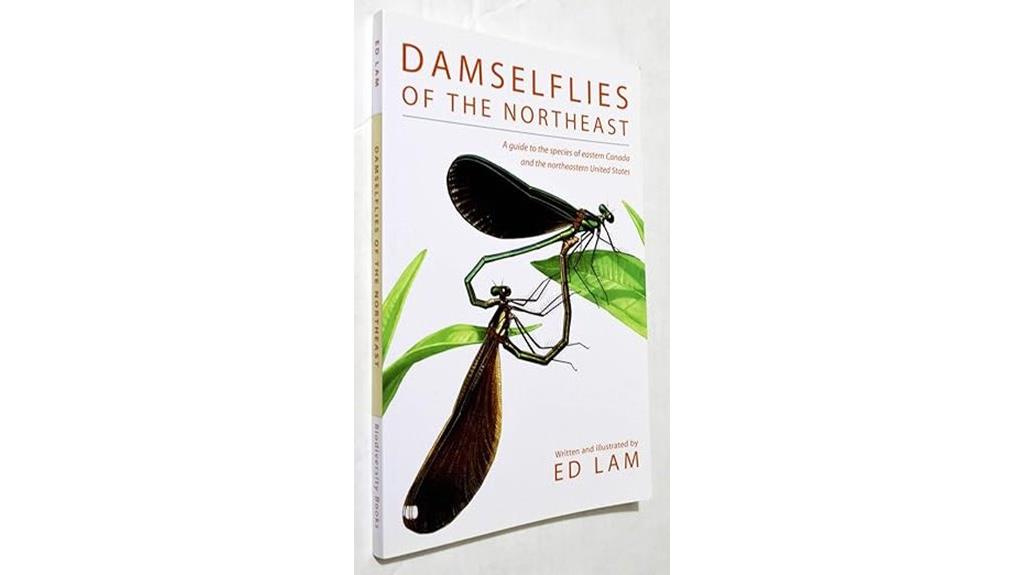 damselfly species guide