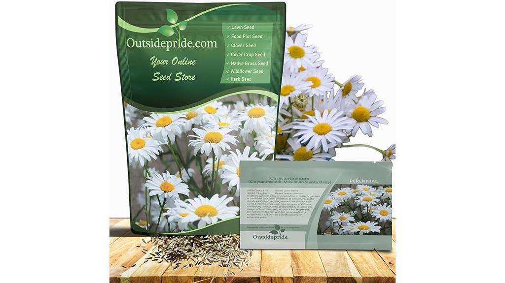 drought tolerant daisy seeds