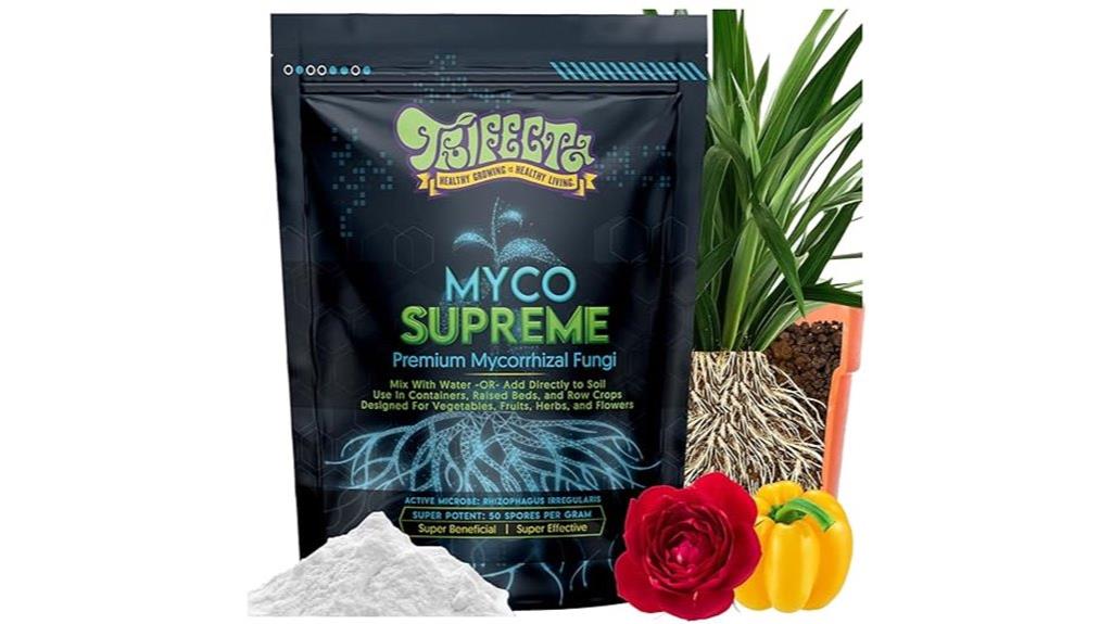 fungi enhancing plant growth