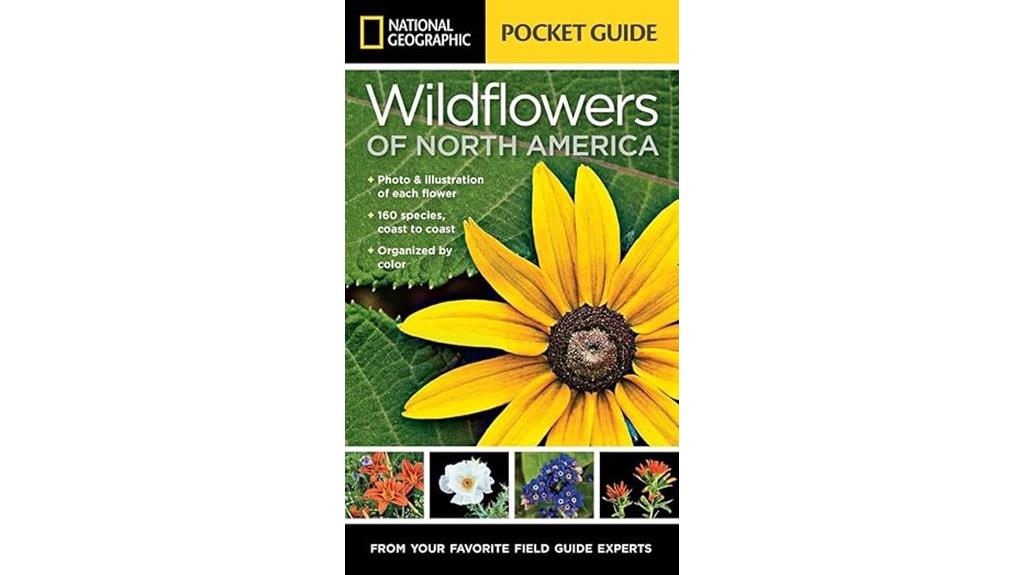 guide to north american wildflowers