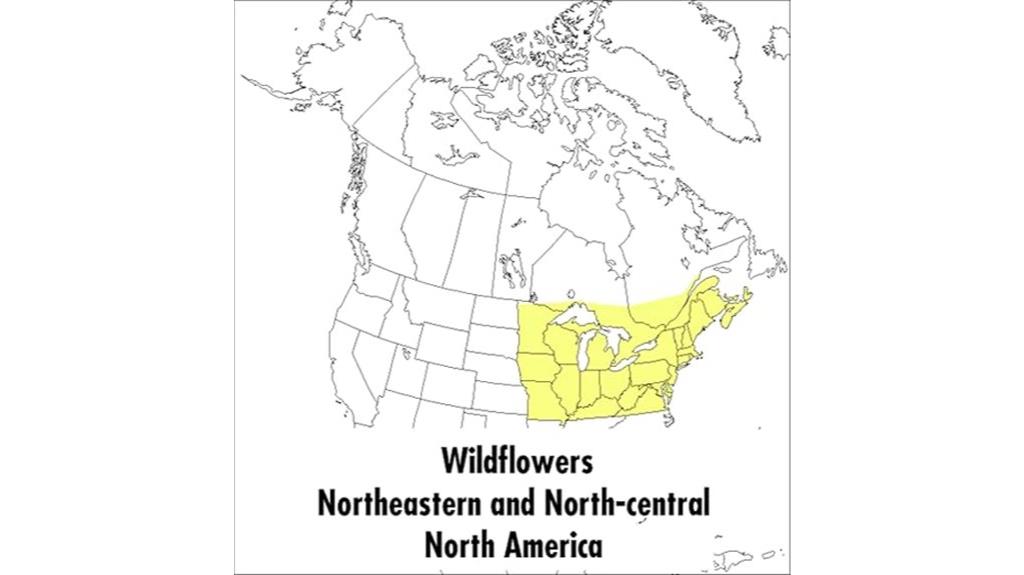 guide to northeastern wildflowers