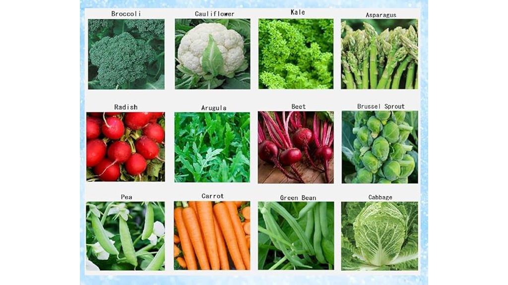 high quality winter vegetable seeds