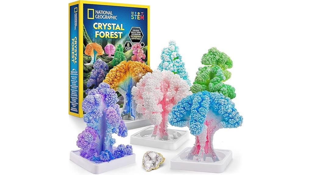 kids crystal growing kit