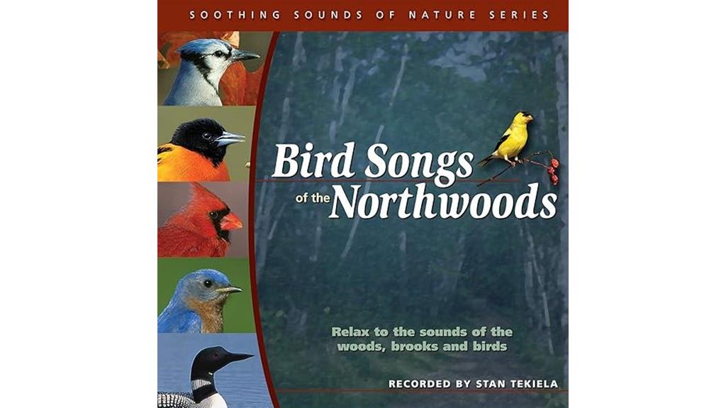 northwoods bird song recordings