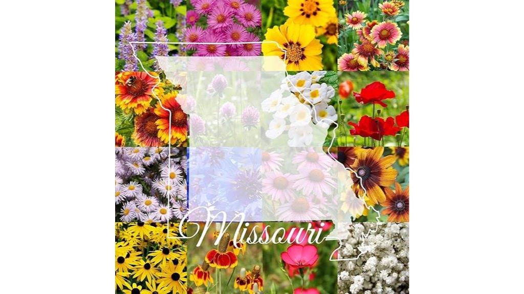 one pound wildflower seed