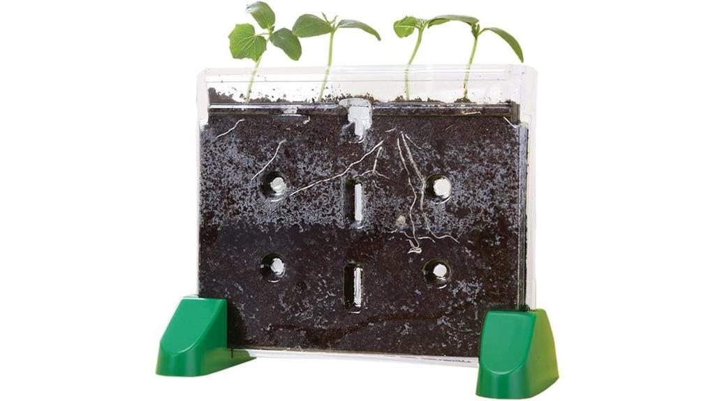 see through sprouts growing kit