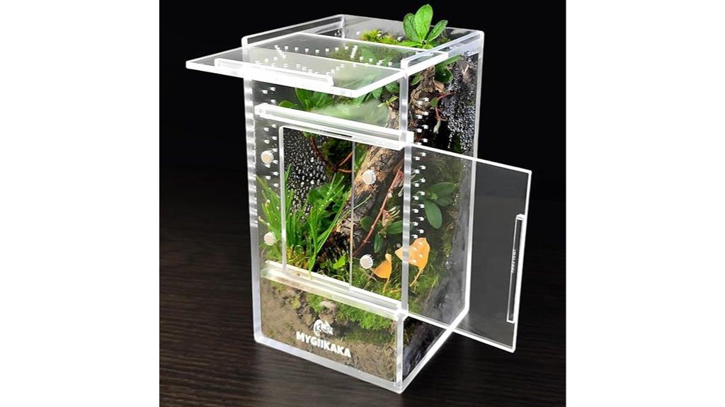 small jumping spider habitat