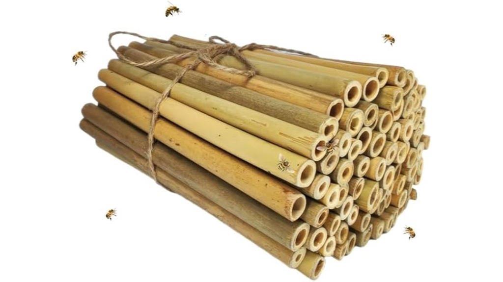 solitary bee bamboo tubes