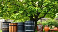 top rain barrel recommendations