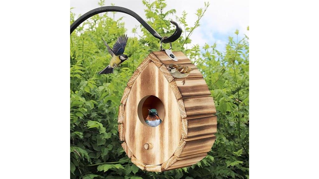 wooden hummingbird birdhouse