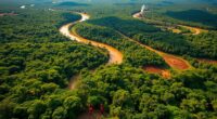 amazon conservation and global impact