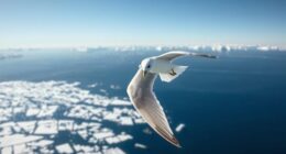 arctic tern s global migration