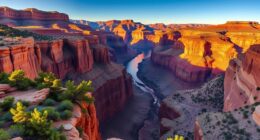 colorado river canyon life