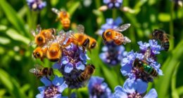honeybees versus native bees