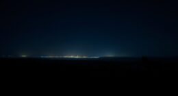 light pollution damages wildlife