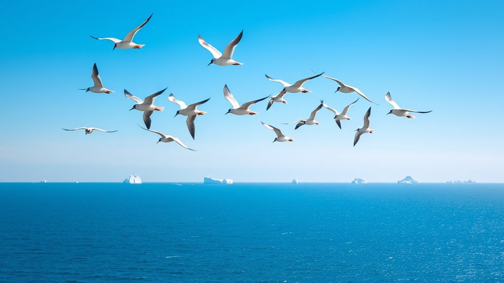 long distance travel adaptations