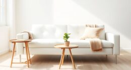 minimalism cuts carbon emissions