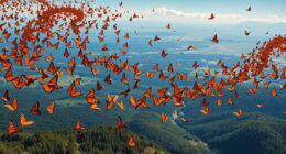 monarchs link north america