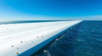 ocean cleanup efforts assessed