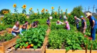 starting community gardens locally
