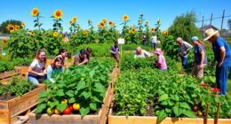 starting community gardens locally
