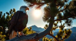 wildlife conservation legislation overview