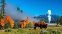yellowstone s untamed ecosystem