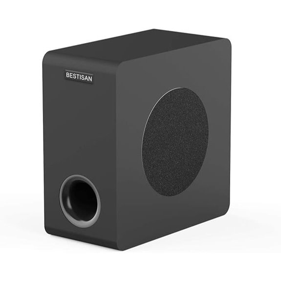 Bestisan 6.5 Home Audio Subwoofer with RCA/LFE Input