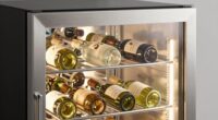 top wine coolers 2026