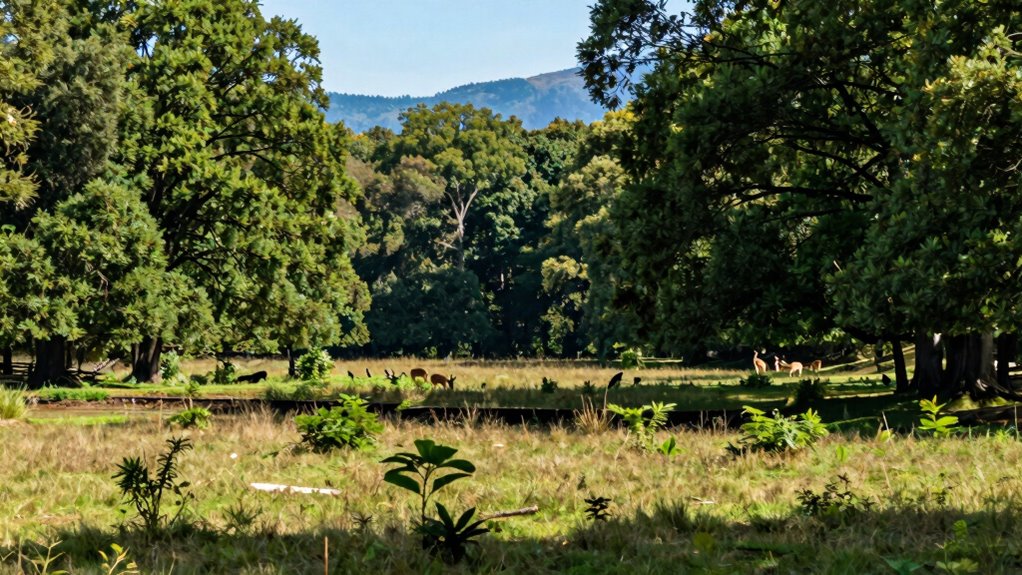 buffer zones promote coexistence sustainability