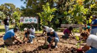 community led conservation efforts