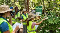 community led conservation efforts