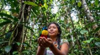 conservation requires compelling narratives
