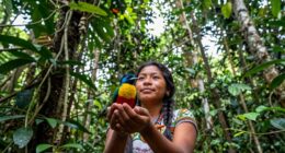 conservation requires compelling narratives