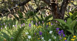 defining native species criteria