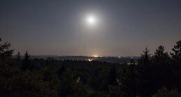 disruption of natural darkness